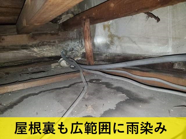 屋根裏　雨漏り　雨水の侵入経路確認